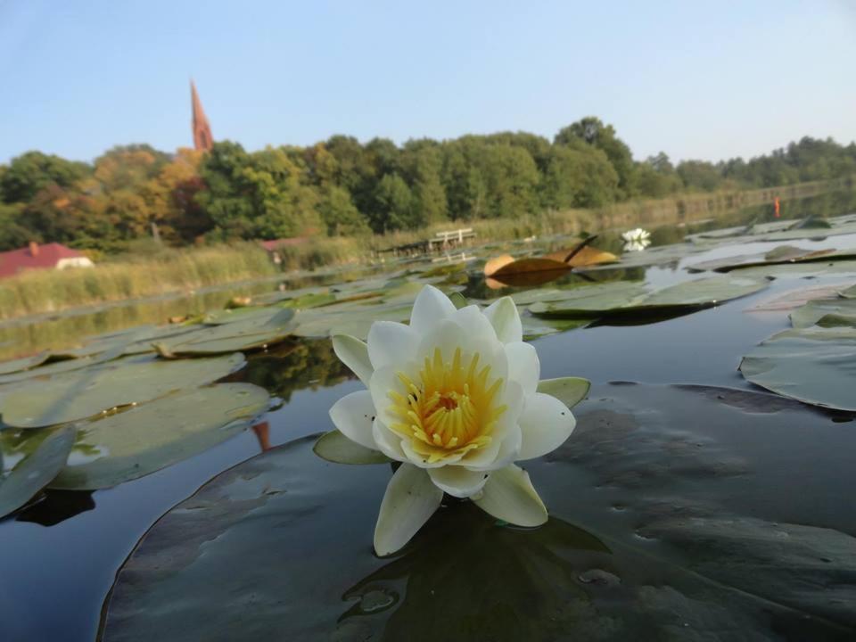 Agroturystyka Chycina Exteriér fotografie